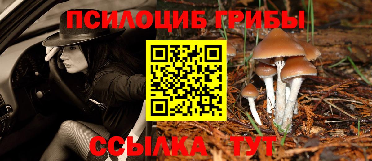 Когалым  Галлюциногенные грибы GOLDEN TEACHER  Вход с VPN 